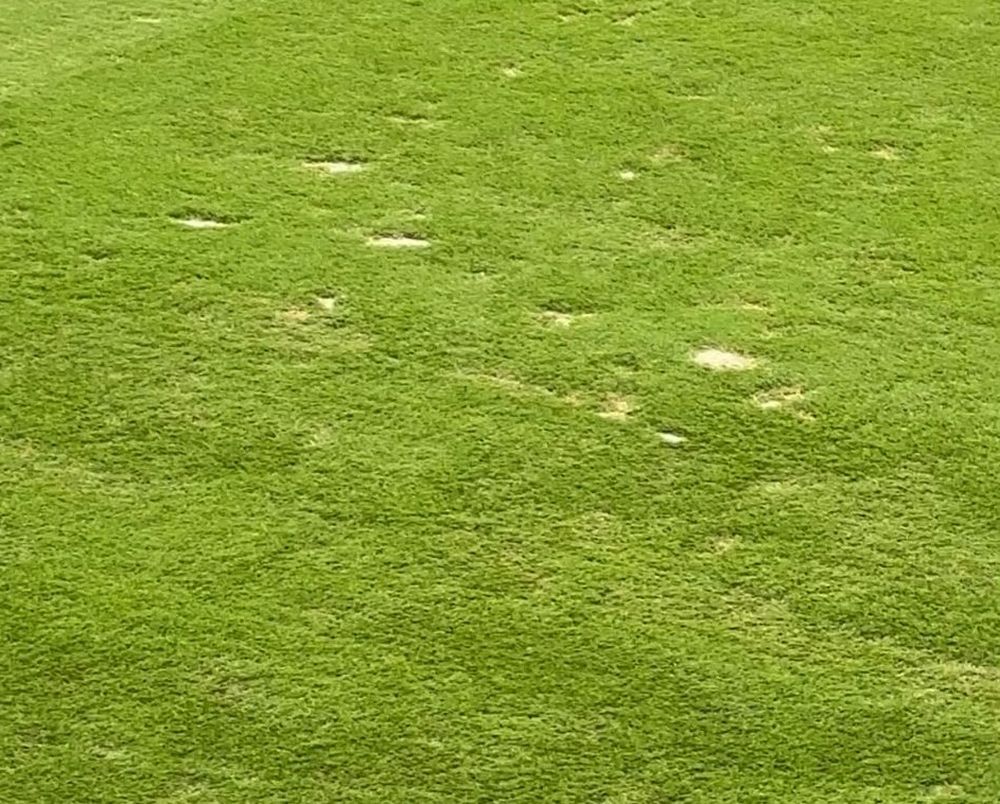 El piso del Allegiant Stadium, donde la selección de Uruguay enfrenta a Brasil