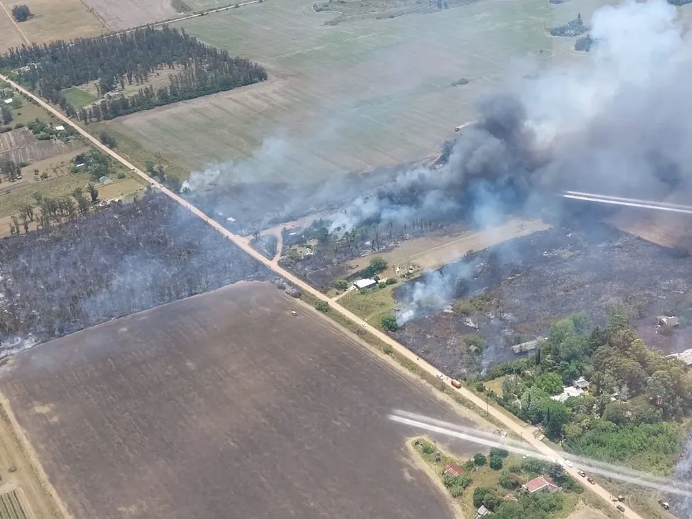 El incendio tiene lugar en ruta 81, km 7