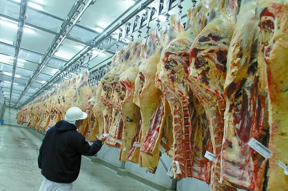 Cinco contenedores con carne contaminada llegaron a EEUU desde noviembre pasado