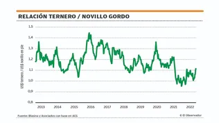 Relación ternero - novillo gordo.