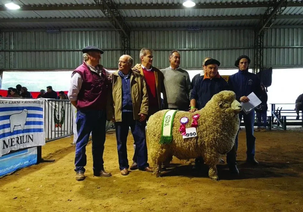 El Gran Campeón Merilín luego de recibir la máxima cocarda de la raza