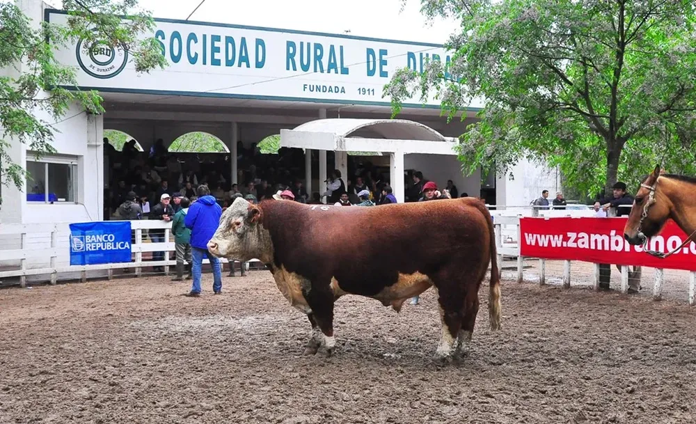 Un muy buen remate en el local Santa Bernardina