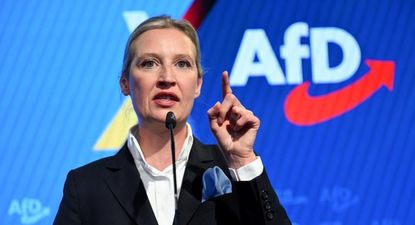 Alice Weidel, líder del partido Alternativa por Alemania, consideró la decisión "un golpe severo contra la democracia alemana".