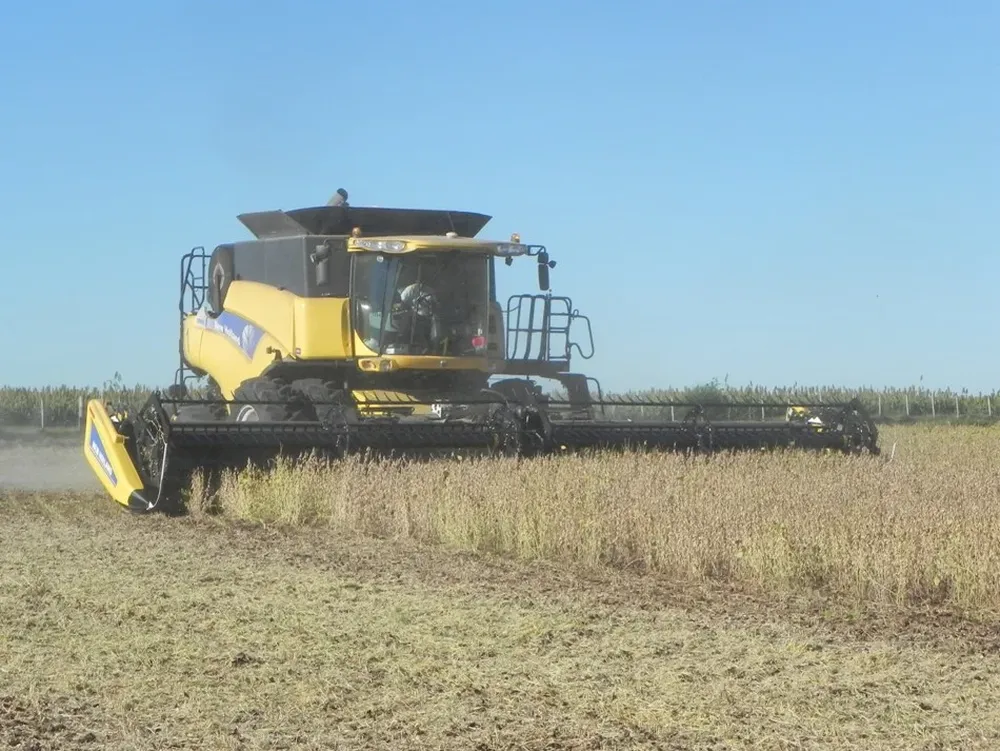 Un año muy bueno para la soja