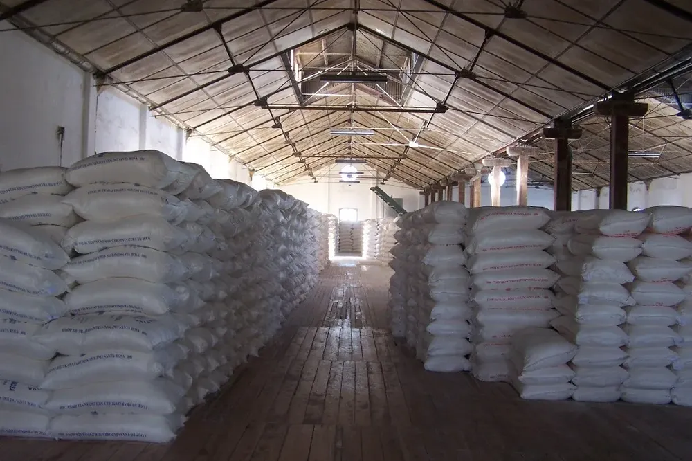 En algunos casos habrá que utilizar un 65% de trigo sano para lograr harina comercializable