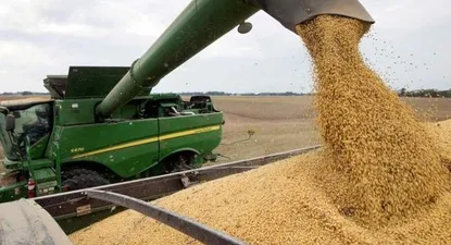 Soja, el cultivo más extendido en Uruguay, con rendimientos elevados en la zafra 2024/2025.