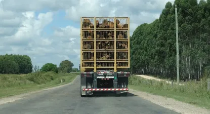 Transportistas de carga esperan poco de UPM