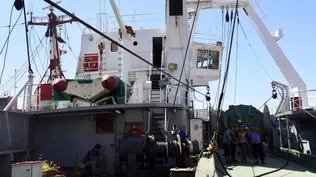 Grande Hermine tardó dos años en remodelarse para tener una tripulación mixta y operar como barco pesquero en aguas uruguayas