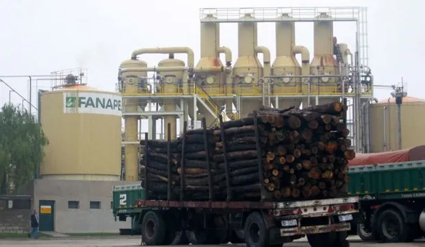 Fanapel: papel importado de Argentina, pero con imágenes de la planta de Juan Lacanze