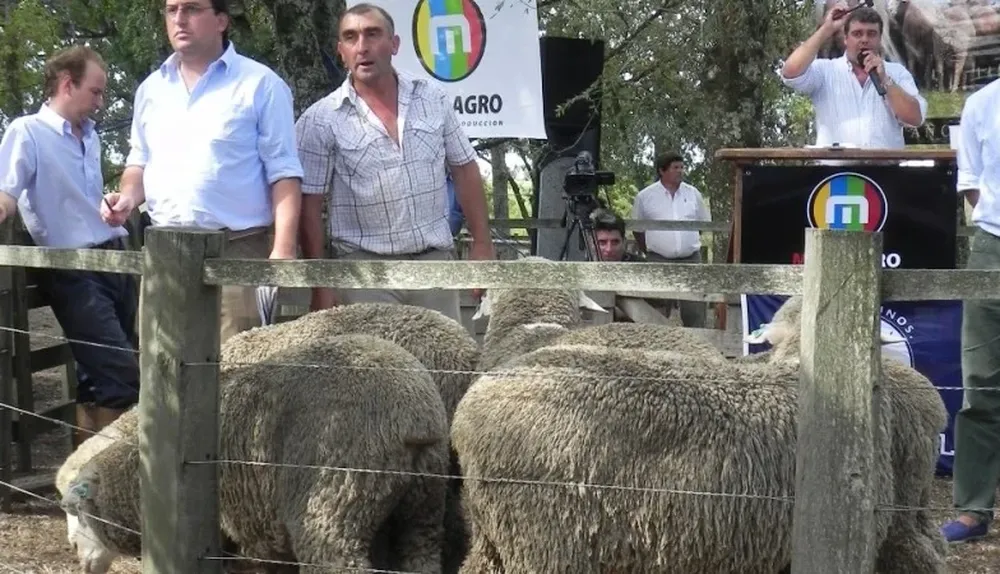 El remate comenzará a la hora 15 con negocios a cargo de MegaAgro