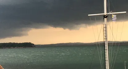 El Observador | 1586568541046.webp