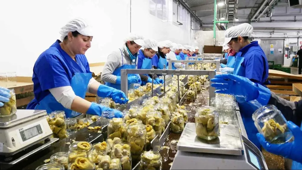 El Gobierno abaliza la emergencia laboral