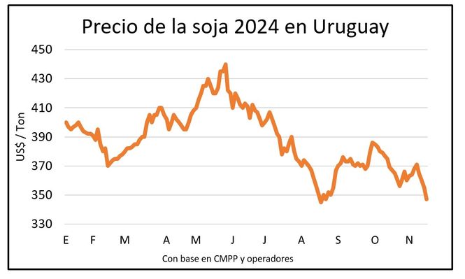 Cultivos de invierno con mercados a la baja, por Blasina y Asociados.