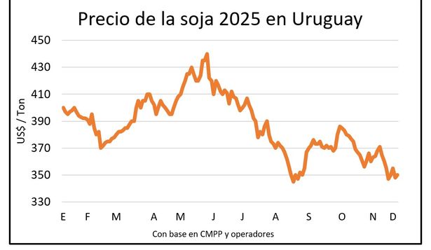 Mercado de granos, Blasina y Asociados.