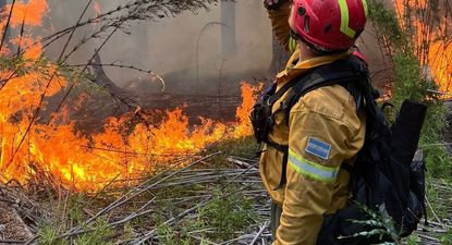 El Gobierno envía fondos a los bomberos en medio de los incendios en la Patagonia.