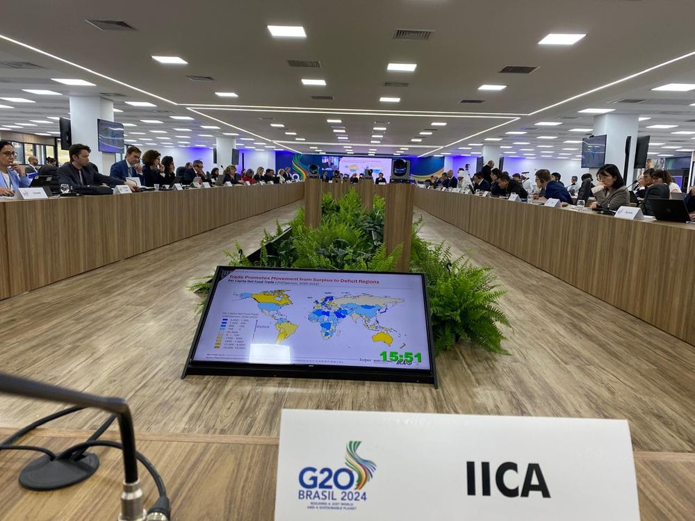 Los choques económicos, las inestabilidades políticas y los extremos climáticos fueron identificados como los principales impulsores de la inseguridad alimentaria.