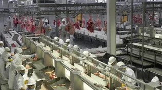 Grueso de la industria sostuvo crecimiento de 1,8% en el primer trimestre