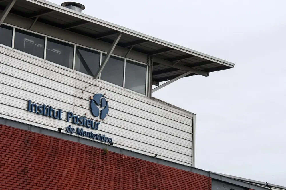 A pedido del MSP, el Institut Pasteur trabajará en la detección y monitoreo de la presencia de la viruela del mono