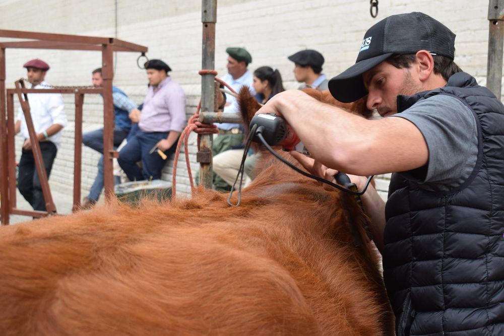 Foro Mercosur de la Carne: representantes de sus entidades se reunieron en la Expo Prado.