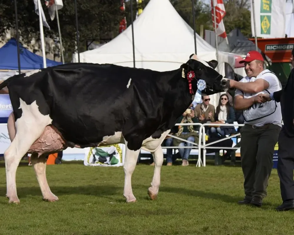 La cita del campo en la ciudad llega a su fin
