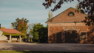 La bodega uruguaya que crece en Inglaterra, planea hacer un vino en Italia y apunta al enoturismo como canal de atracción y rentabilidad