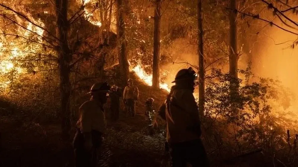 Más de diez brigadas de bomberos combaten el fuego desde la noche del jueves.