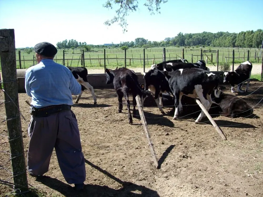 Los productores quieren que el fondo lechero sea acompañado por un ajuste en los costos.