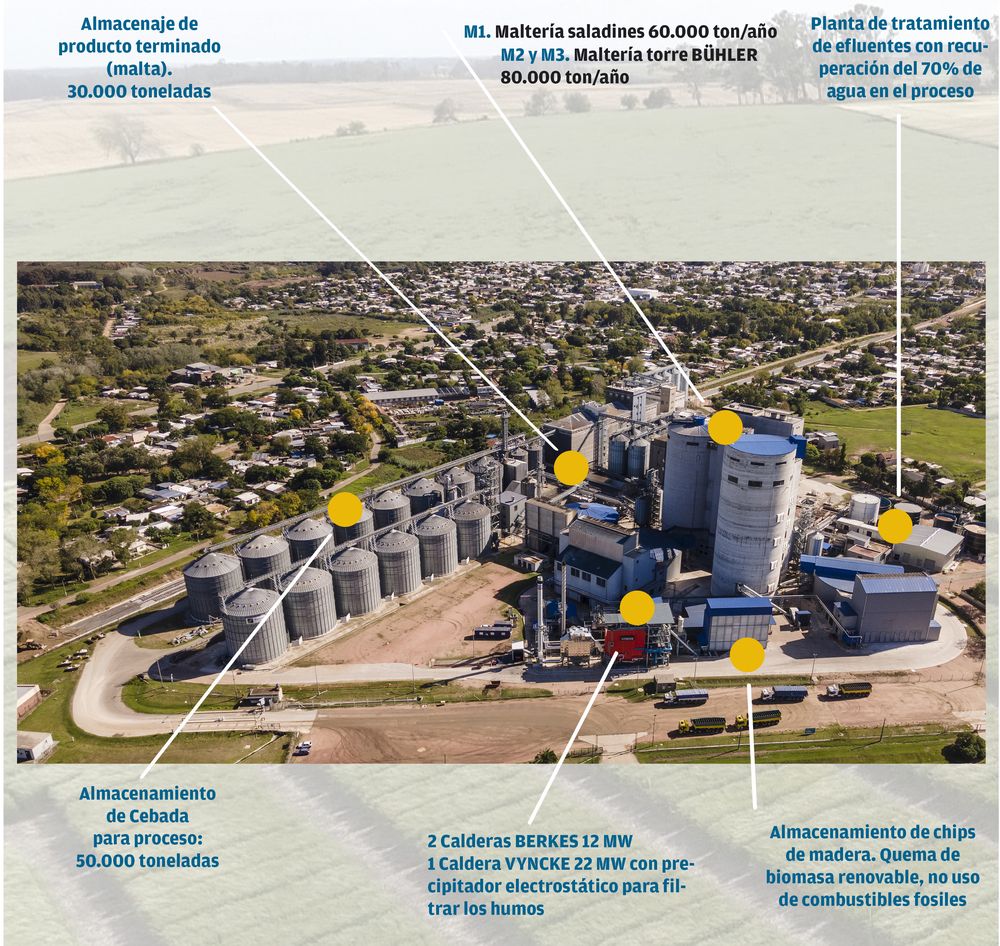 Malteria Oriental (infografia).jpg