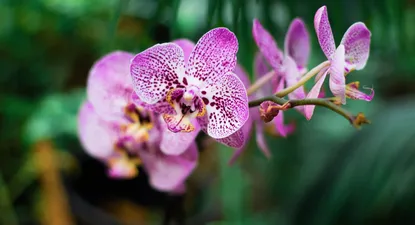 Workshop en Brote - 15/2