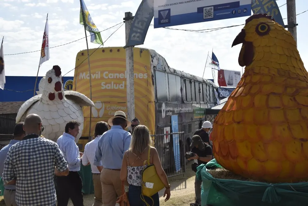 La actividad se realiza cada año, durante el verano, en San Bautista.