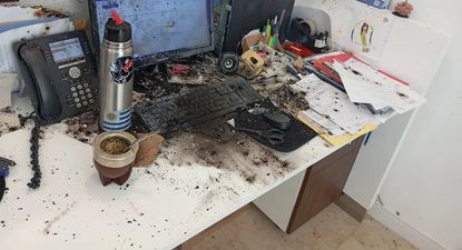 Atentado contra el presidente de la Sociedad Rural Argentina: investigan a extremistas veganos y anarquistas