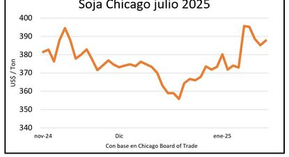 Mercado de granos, Blasina y Asociados.
