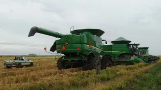 La última cosecha reportó 1,51 millones de toneladas de arroz.