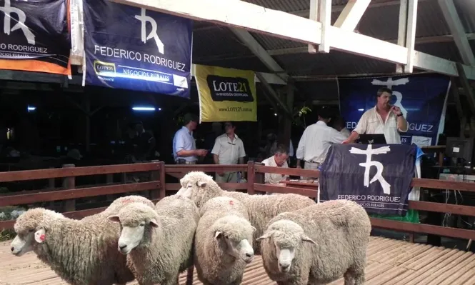 El escritorio Federico Rodríguez dos Santos hará importantes remates