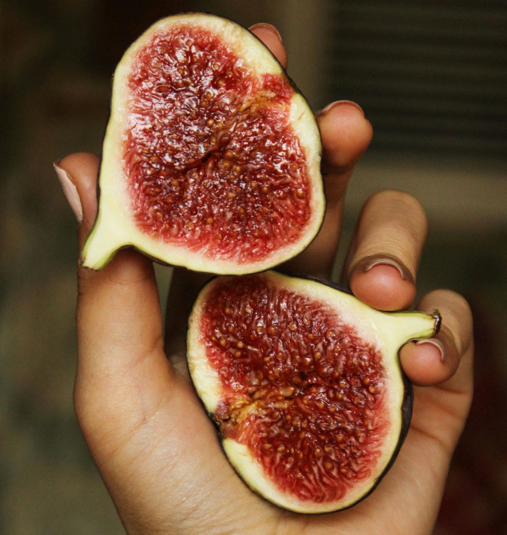 Fruta: higo, producto destacado al inicio de marzo.