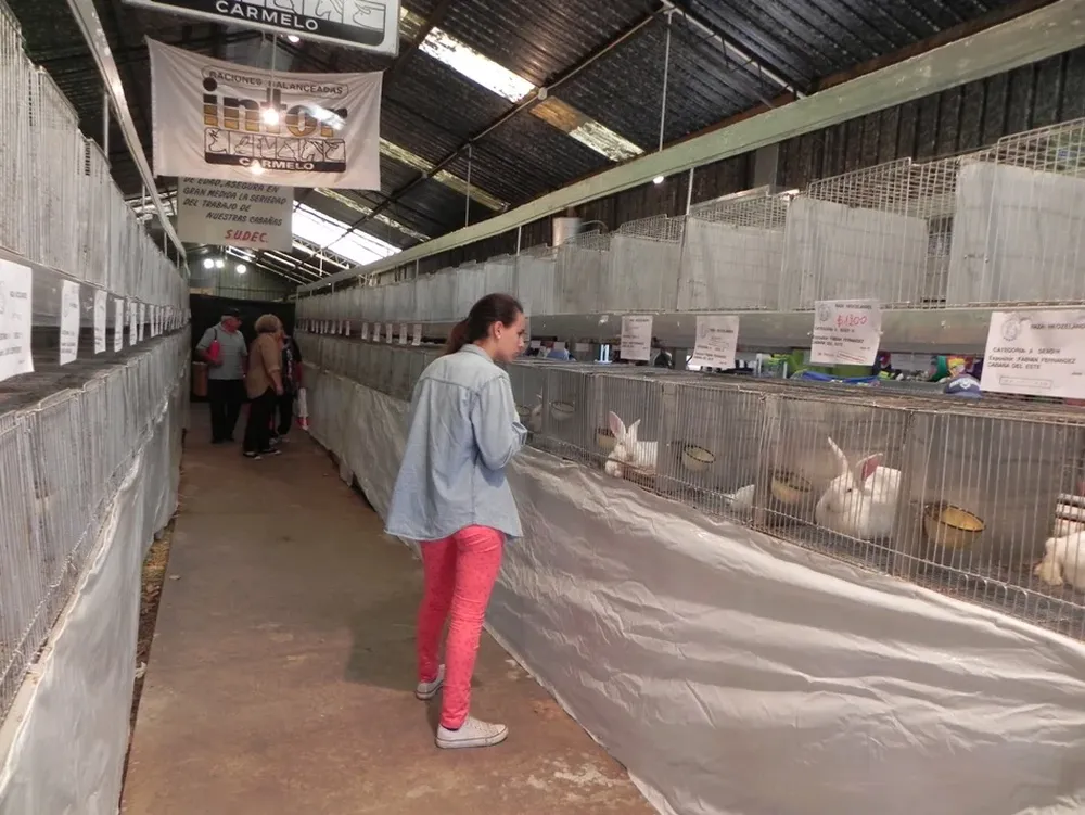 La muestra se podrá visitar hasta el 31 de marzo