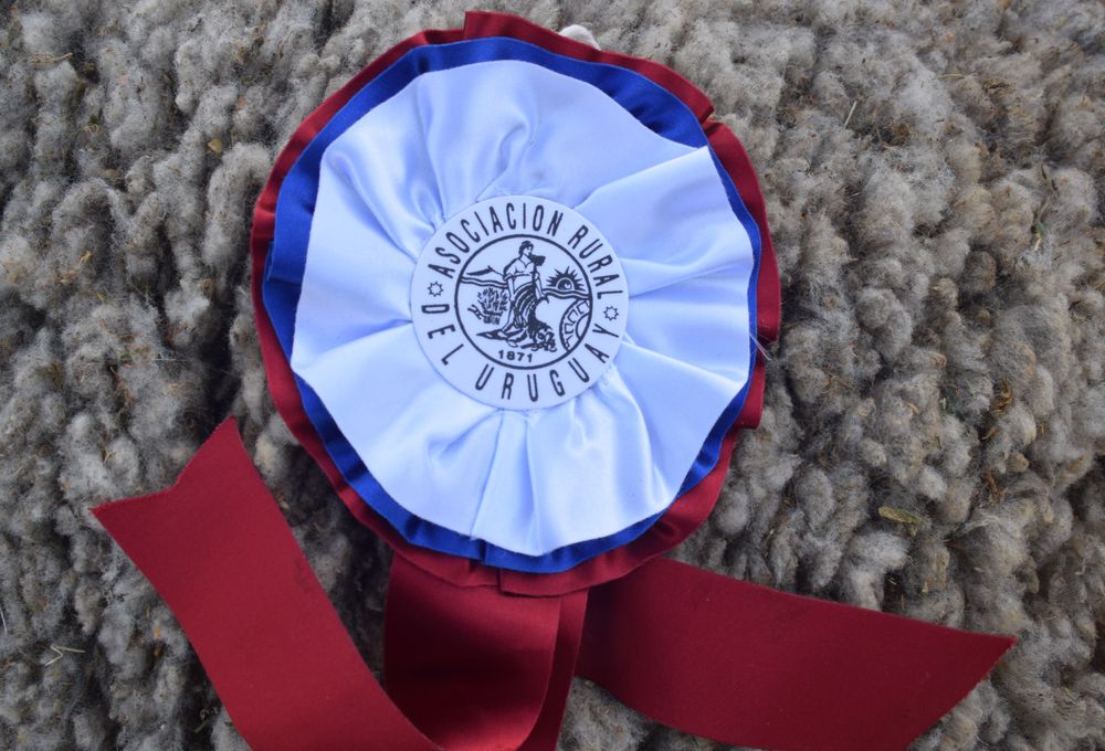 ARU y un tema que preocupa al sector productivo: el valor del dólar.