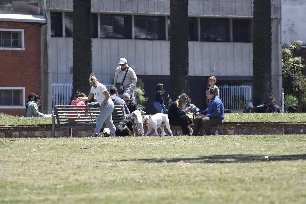 El rango de temperatura previsto para la capital va desde una mínima de 12 °C a una máxima de 20 °C