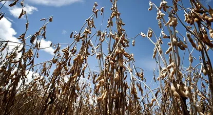 Gobierno desestima impacto en la inflación por la suba de los granos