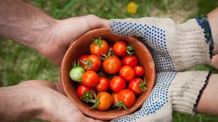 Los productos más ofertados durante la rueda fueron frutas y vegetales.