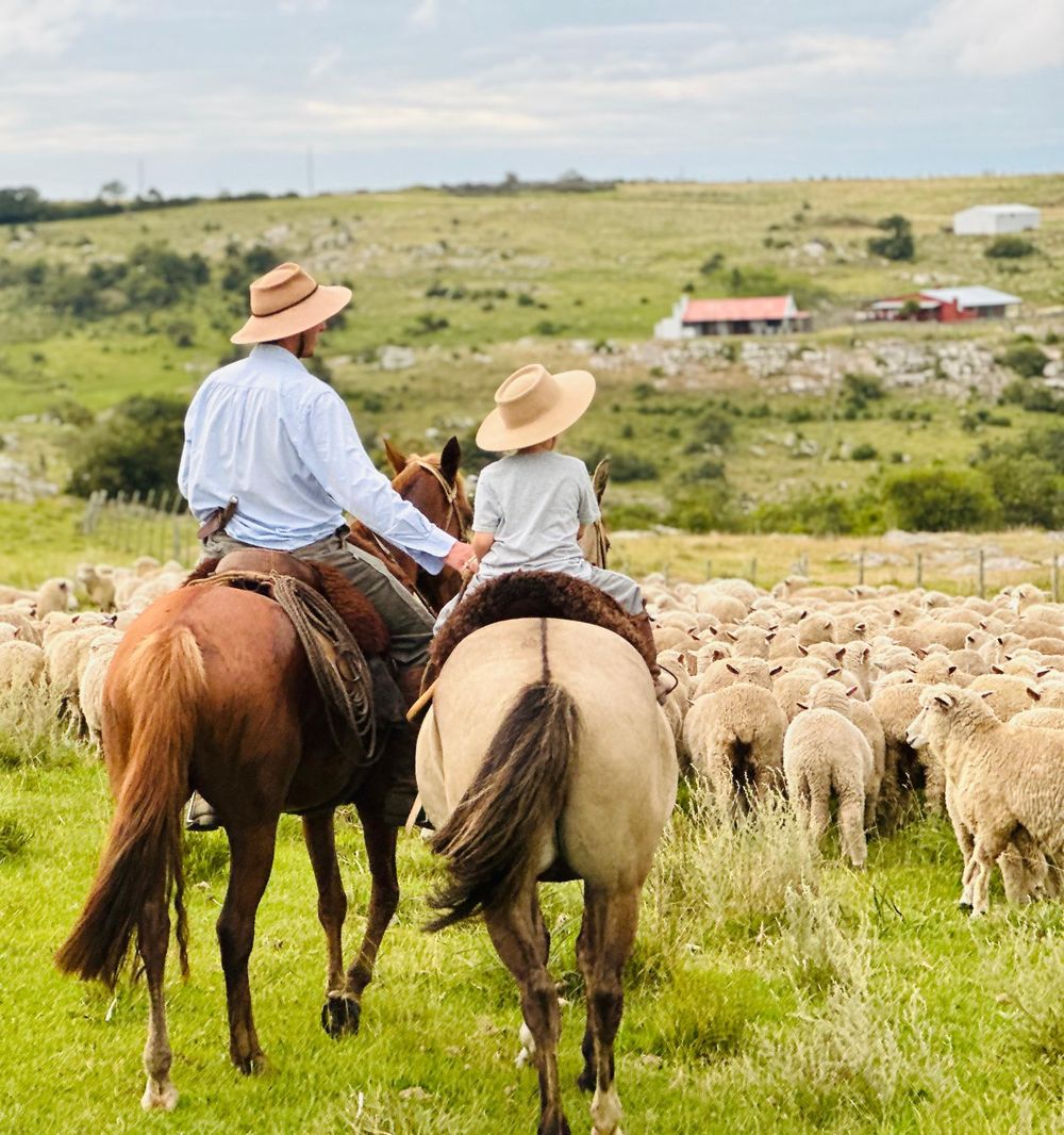 Huellas en los cerros. 