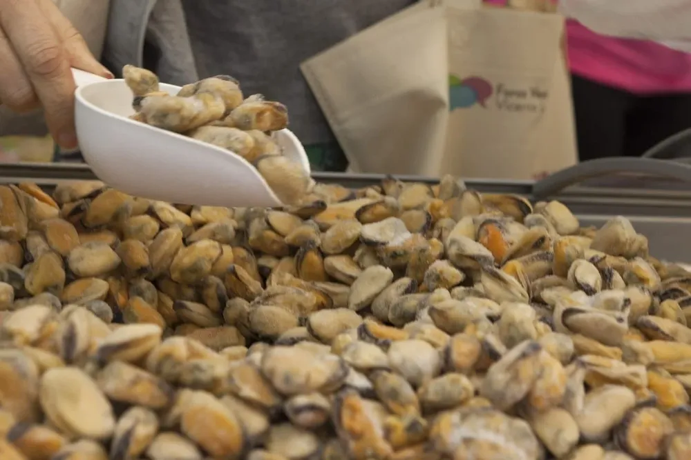 Marea Roja: recomendaciones del Senasa para evitar intoxicaciones por consumo de moluscos contaminados