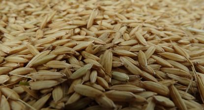 El Observador | DSC05742.JPG