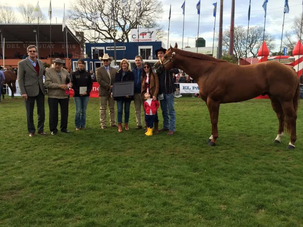 El Gran Campeón y Mejor Ejemplar Sin Distinción de Sexo fue Ima Cool Kid