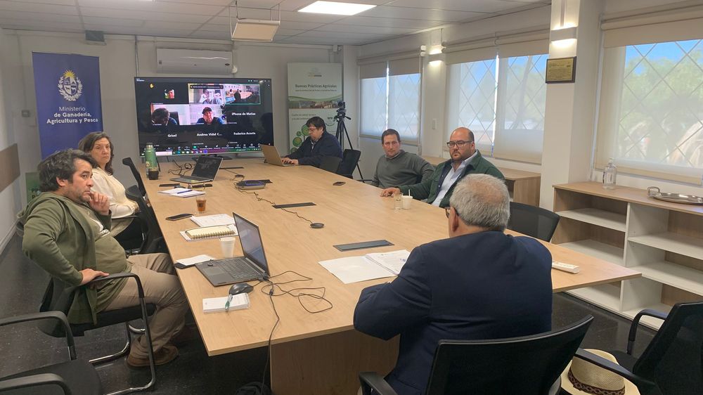 MGAP: distintas unidades del ministerio trabajan en el diseño de la asistencia a los productores citrícolas de Salto.