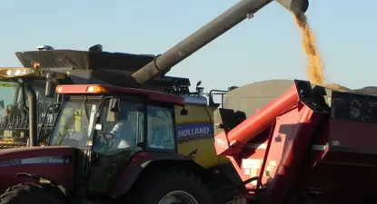 El Observador | 0023047003.webp