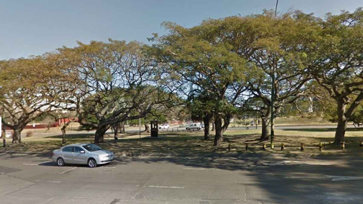 Otra vez un monumento: la Policía investiga el robo de un busto en honor a Pierre de Coubertin en el Parque Batlle