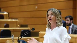 La portavoz del Partido Popular en el Senado, Alicia García, interviene durante una sesión plenaria en el Senado,