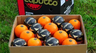 Empresa estadounidense fue el único oferente que recibió el remate de Citrícola Salteña.