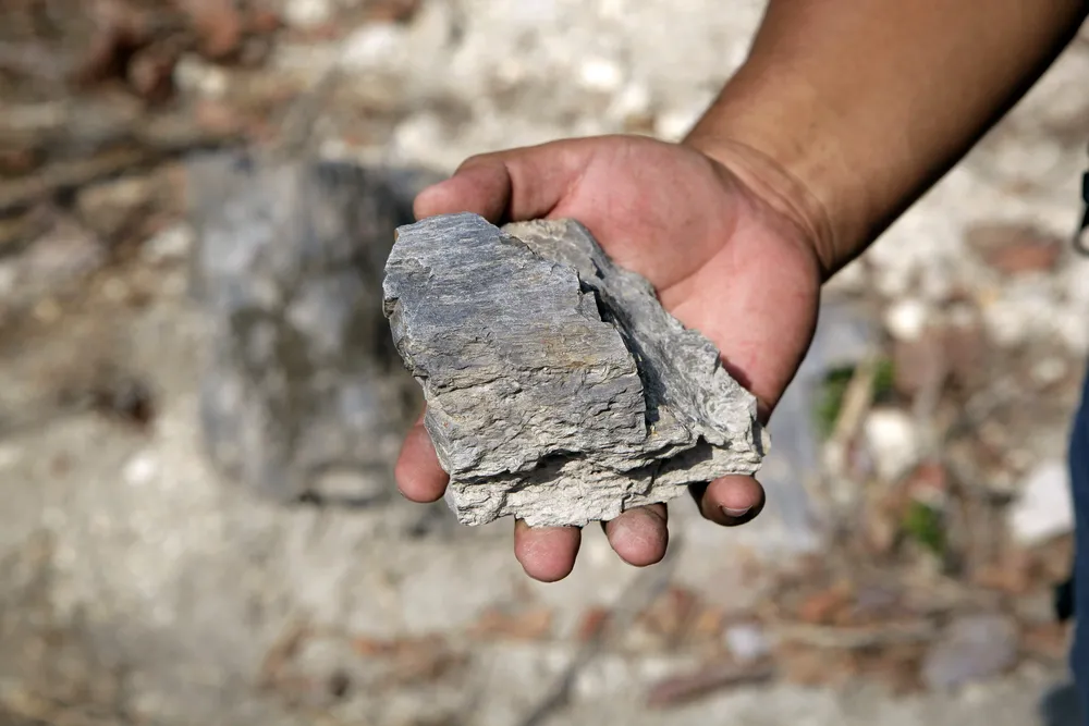 Detalle de un árbol petrificado en el cerro El Dragón, en Concepción Quezaltepeque, a unos 72 kilómetros al norte de San Salvador